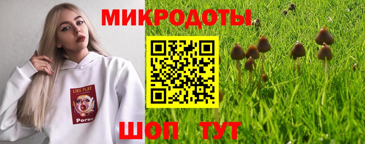 купить наркоту  Вход с VPN  Ярославль  Псилоцибиновые грибы MAGIC MUSHROOMS 