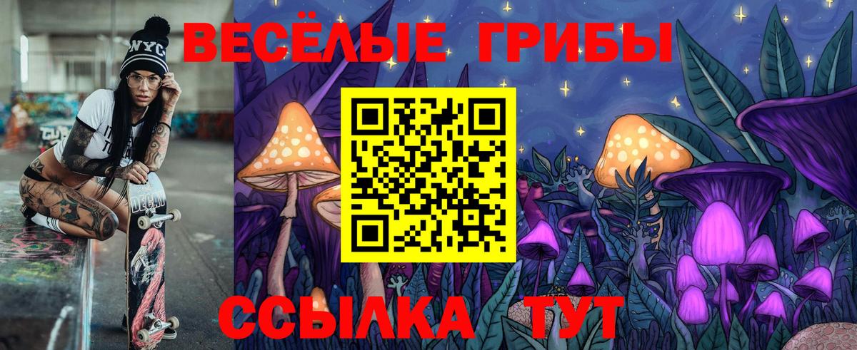Псилоцибиновые грибы Psilocybe Ярославль